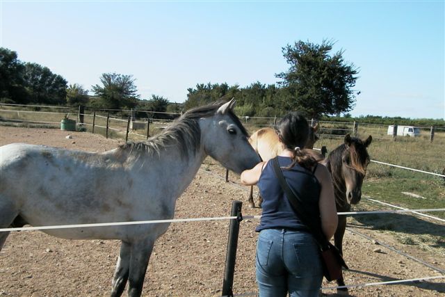 Josy et ses dadas...